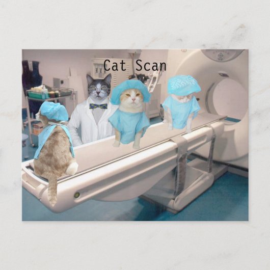 Funny Cat Scan Afbeelding Briefkaart (Voorkant)