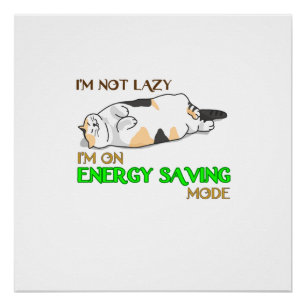 Funny cat shirt Cat Lover Gift  Cadeau voor kat ei Perfect Poster