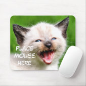 Funny Cat Siamese Kitten Place Mouse hier Muismat (Met muis)