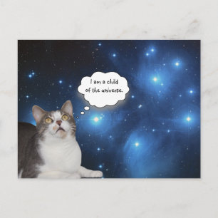 Funny Cat Star Gazer Briefkaart