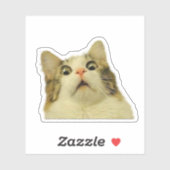 Funny Cat Sticker (Vel)