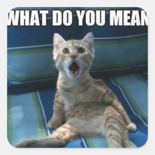 Funny cat stickers (Voorkant)