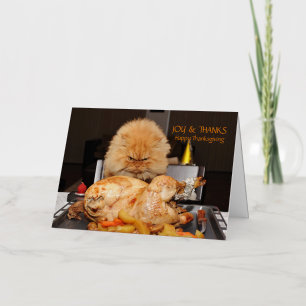 Funny Cat Thanksgiving briefkaart
