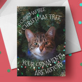 Funny Cat Tree Ornamenten Geschiedenis Kerstmis Ka Feestdagen Kaart