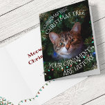 Funny Cat Tree Ornamy Histoire Carte de Noël<br><div class="desc">si vous (ou votre destinataire prévu) avez un chat, je suis sûr que vous savez à quel point ils sont bien élevés quand il s'agit de briller ou tassés objectés pendants d'une branche à portée de main (ou complètement hors de portée raisonnable tout ensemble) le devant de cette carte de...</div>
