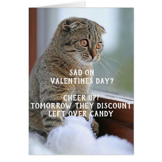 Funny Cat Valentijnsdag Meme Single (Voorkant)
