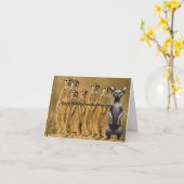 Funny Cat Verjaardag Kaart van de Bende (Gele Bloem)