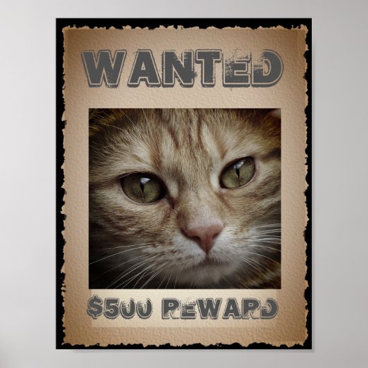 Funny Cat Wanted Poster (Voorkant)
