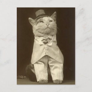 Funny  Cat Wearing Suit en Top Hat Briefkaart