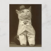 Funny  Cat Wearing Suit en Top Hat Briefkaart (Voorkant)