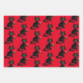 Funny Cat Wrapping Paper Kit (Voorkant)