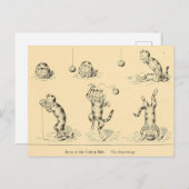 Funny Catnip Cat Briefkaart (Voorkant / Achterkant)