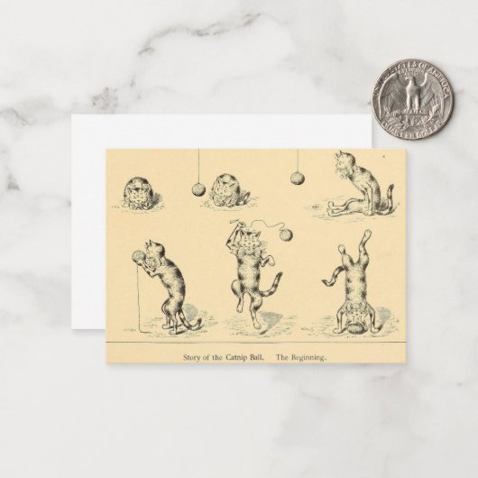  Funny Catnip Cat Notitiekaartje (Voorkant / Achterkant in situ)