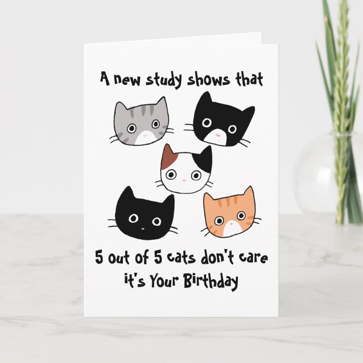 Funny Cats Birthday, Kattenliefhebbers Verjaardag Kaart | Zazzle.Be