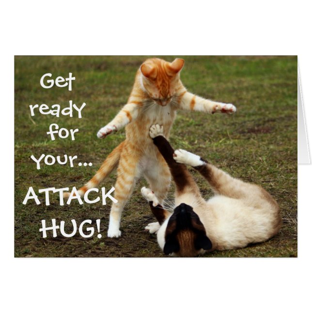 Funny Cats Caption Attack Hug (Voorkant Horizontaal)