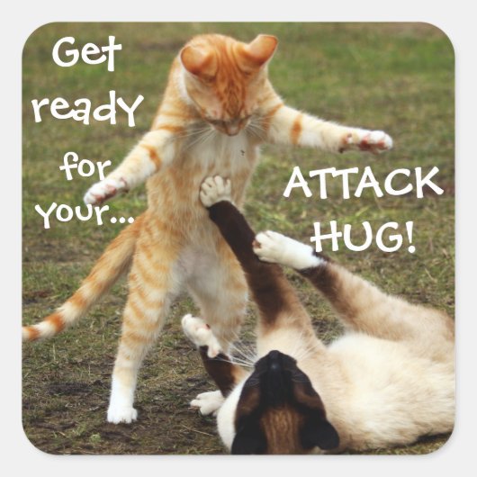Funny Cats Caption Attack Hug Vierkante Sticker (Voorkant)