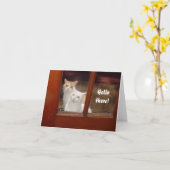 Funny Cats Carte pour notes (Fleur jaune)