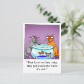 Funny Cats Cartoon cadeau! Briefkaart (Staand voorkant)