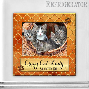 Funny Cats Crazy Cat Lady Photo Magnet Magneet