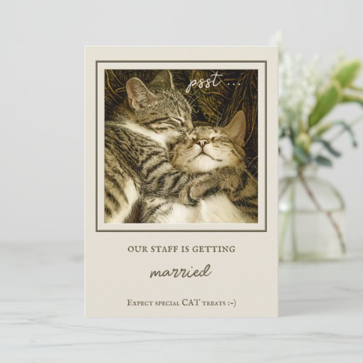 Funny Cats Custom Photo Engagement Party Kaart (Staand voorkant)