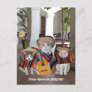 Funny Cats Feliz Cinco de Mayo Briefkaart