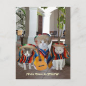 Funny Cats Feliz Cinco de Mayo Briefkaart (Voorkant)
