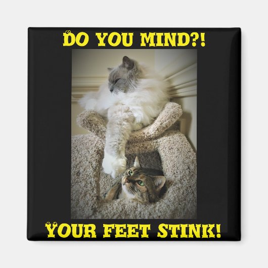 Funny Cats Fridge Magnet Magneet (Voorkant)