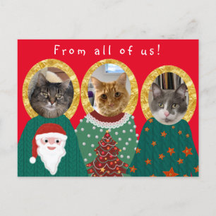 Funny Cats Gepersonaliseerd Lelijke Kersttrui Briefkaart