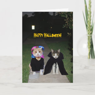 Funny Cats Halloween Kaart
