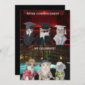 Funny Cats Invitation de la fête de la graduation  (Devant / Derrière)