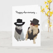 Funny Cats Jubileum Kaart (Gele Bloem)