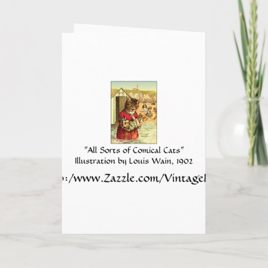 Funny Cats Kaart / Uitnodiging: Cats at the Beach (Achterkant)