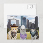 Funny Cats/Katten Greetings uit Houston Briefkaart (Voorkant / Achterkant)