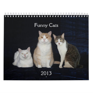 Funny Cats/Katten Kalender
