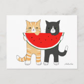 Funny Cats Manger Watermelon Carte postale Funny C (Devant)