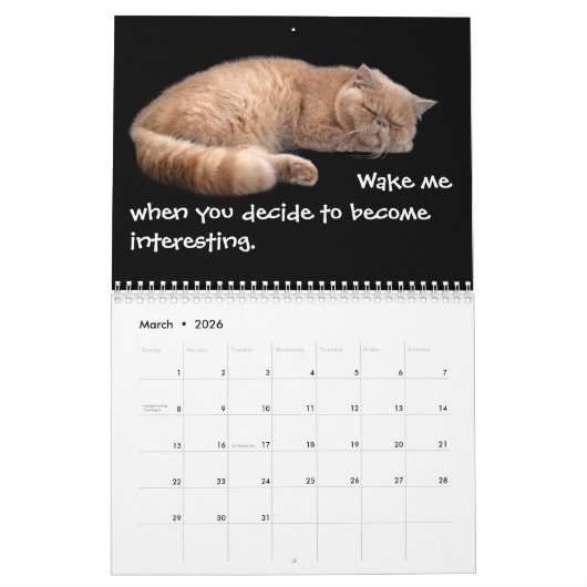 Funny Cats met dankbaarheid Kalender (Mar 2026)