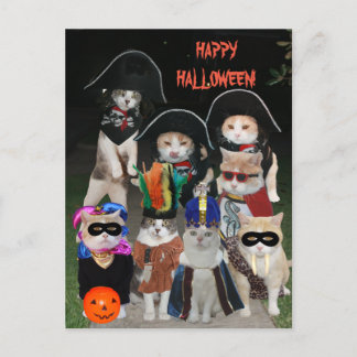 Funny Cats Prowling op Halloween Briefkaart