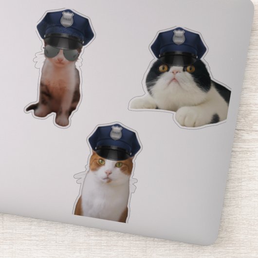 Funny Cats Sticker (Detail)