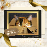 Funny Chat Anniversaire Carte postale<br><div class="desc">Une carte postale d'anniversaire mignonne avec un chaton dans une boîte en carton avec vos propres textes. L'image étiquette sur le devant se trouve sur un fichier séparé et peut être supprimée si vous n'en avez pas besoin.</div>