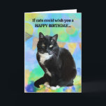 Funny Chat carte d'anniversaire du chat<br><div class="desc">Drôle carte d'anniversaire du chat ! Cette carte est personnalisable avec votre message personnalisé. Faites-le de vous à la place !</div>
