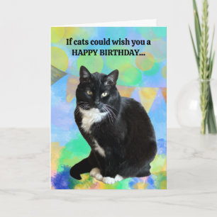Funny Chat carte d'anniversaire du chat