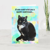Funny Chat carte d'anniversaire du chat (Devant)