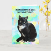 Funny Chat carte d'anniversaire du chat (Fleur jaune)