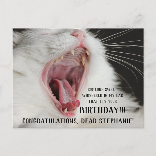 Funny Chat Cute Carte postale Anniversaire (Devant)