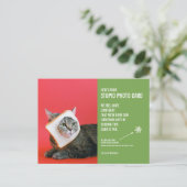 Funny Chat Noël Stupide carte postale Carte photo (Debout devant)