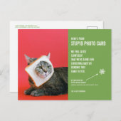 Funny Chat Noël Stupide carte postale Carte photo (Devant / Derrière)