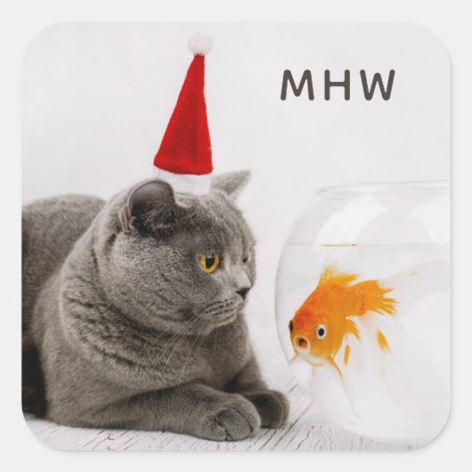 Funny Chat & Poisson autocollants monogrammes pers (Devant)