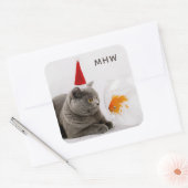 Funny Chat & Poisson autocollants monogrammes pers (Enveloppe)