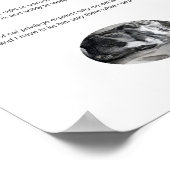 Funny chat privilège sommeil selfie poster matte (Coin)