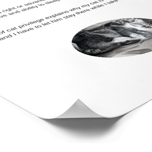 Funny chat privilège sommeil selfie poster matte (Coin)